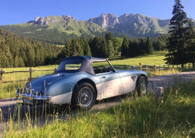 Classic Austin Healey 3000 in summer meadow