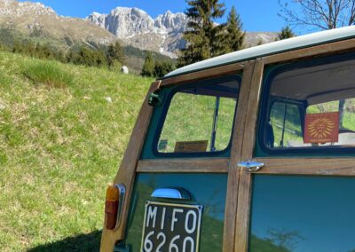 Back door closeup of a Green classic Mini Traveller